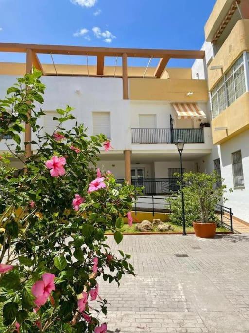 La Bodega Del Mar - Luminoso Y Centrico Apto Con Piscina En Verano Y Parking El Puerto de Santa María Eksteriør billede